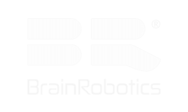 Brain Robotics